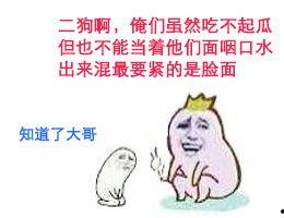 斗图吃瓜群众,网络狂欢背后的社交现象解析