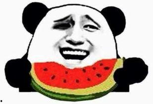 言辞学长吃瓜群众,揭秘娱乐圈幕后风云