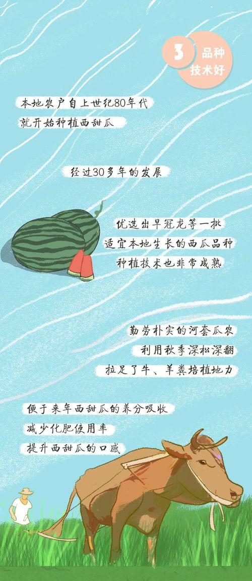 吃瓜群众请归位,揭秘网络舆论场的理性回归