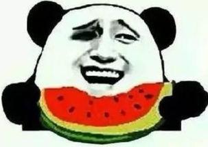 装作吃瓜群众关注你,装作吃瓜群众的幕后故事