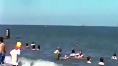 海底吃瓜群众是真的吗,真实存在的神秘生物之谜