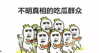 吃瓜群众最终结果,最终结果揭晓，真相大白！