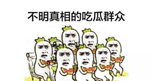 一个热心的吃瓜群众